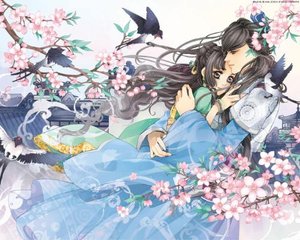 大象影视传媒ceo